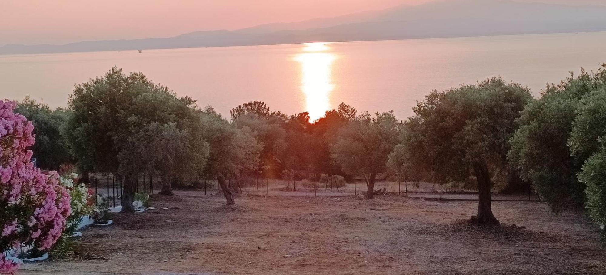 Villa Kiriaki