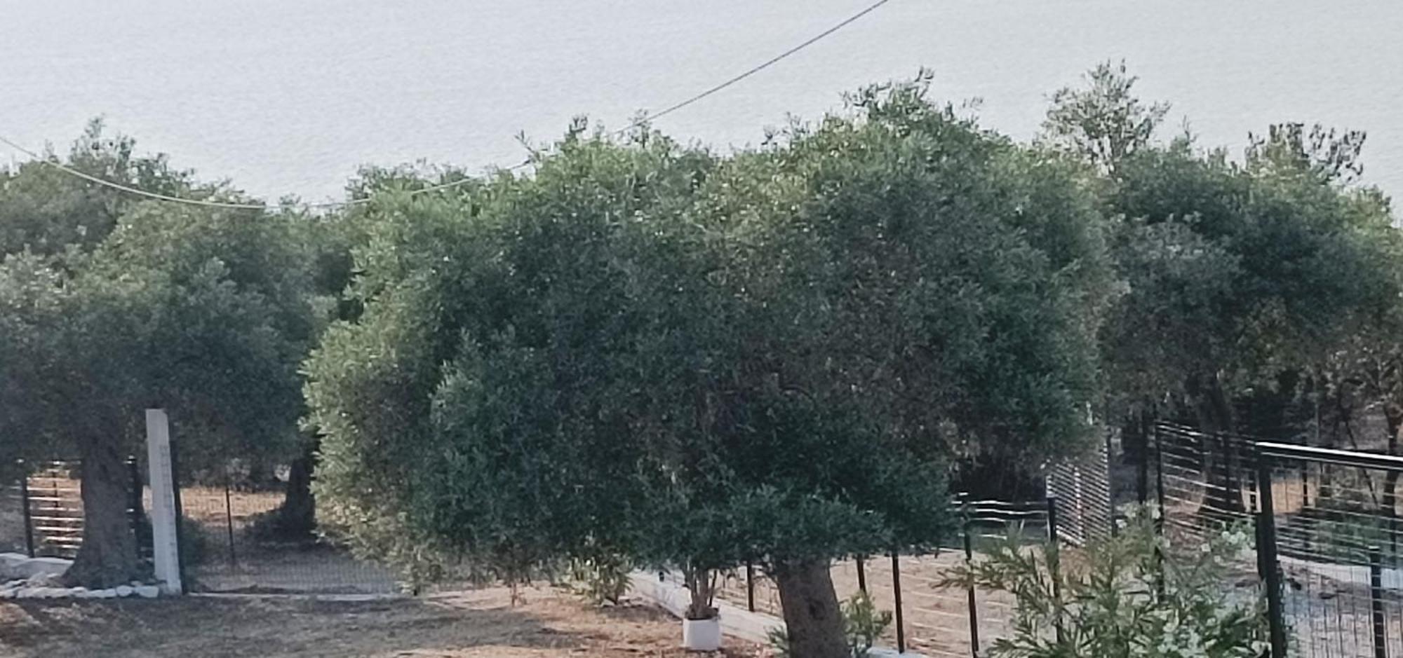 Villa Kiriaki Kallirakhi